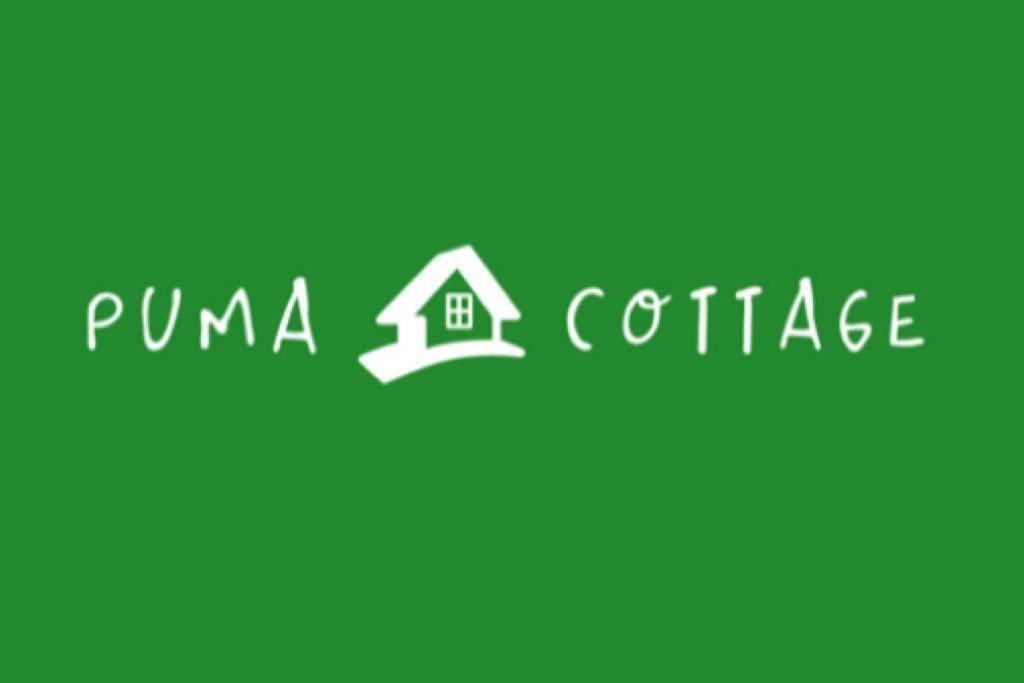 Puma Cottage Horcón Exteriér fotografie